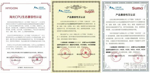 ChainSQL完成與海光、中科曙光、中科可控產品兼容性認證 開啟國產化數(shù)據(jù)庫新篇章